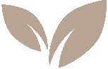 Signature Market Icon
